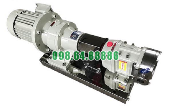 Máy bơm cánh khế 3RP-60 công suất 7.5 kW áp suất 0,6 MPa kết nối DN65
