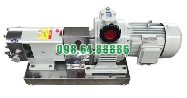 Máy bơm lobe 3RP-2 lưu lượng 1.2 m³/h công suất 0.55kw